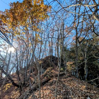 落葉🍂もりもり激下り🙀
落ち葉と遊ぶ
いえいえ弄ばれております😭
死んでる木に捕まってしまい太い枝がドリフのバケツ🪣ばりに頭にヒット😭