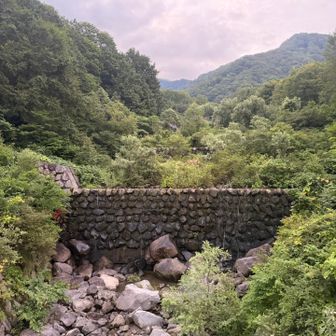 米子沢はこの上だそう