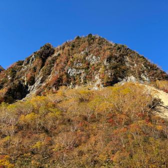 秋山を見て少し瞑想したり