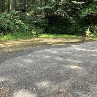 駐車場ゆったり