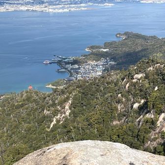 結構、松🌲が枯れていますね！