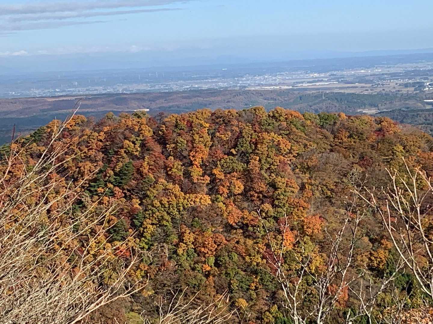 信楽寺跡登山口-松倉山-撫倉山-蜂倉山-鎌倉山-遂倉山-遂 縦走コースの写真