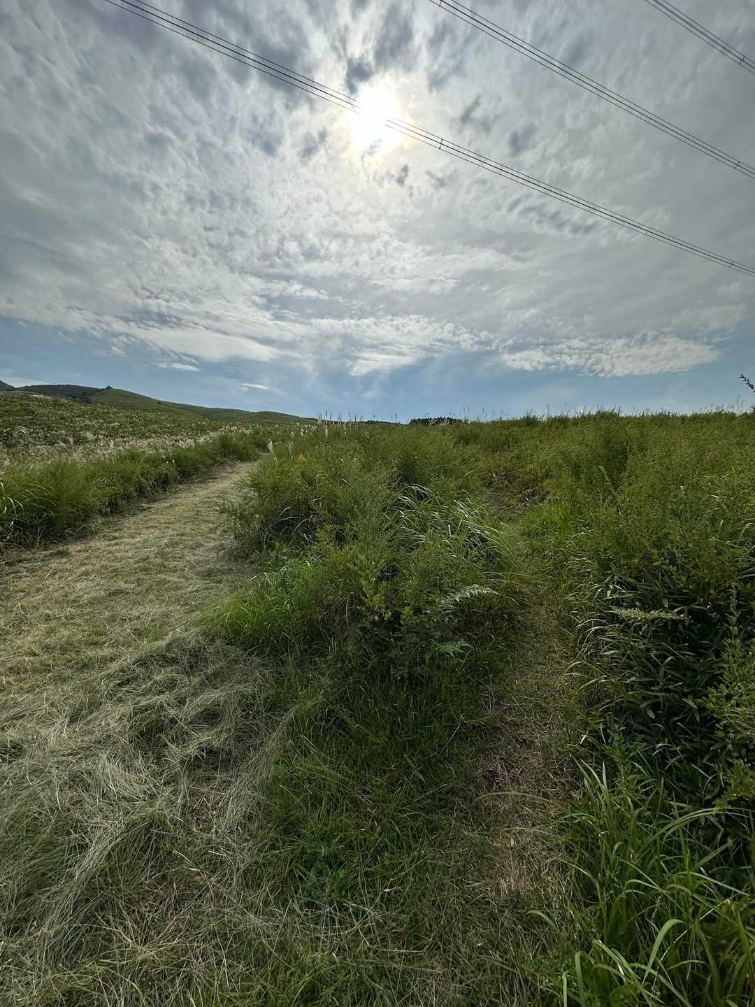 分岐
右の細道に入る…🚶🏼‍♀️
