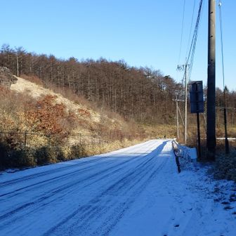 駐車場🅿️前の道
雪あり