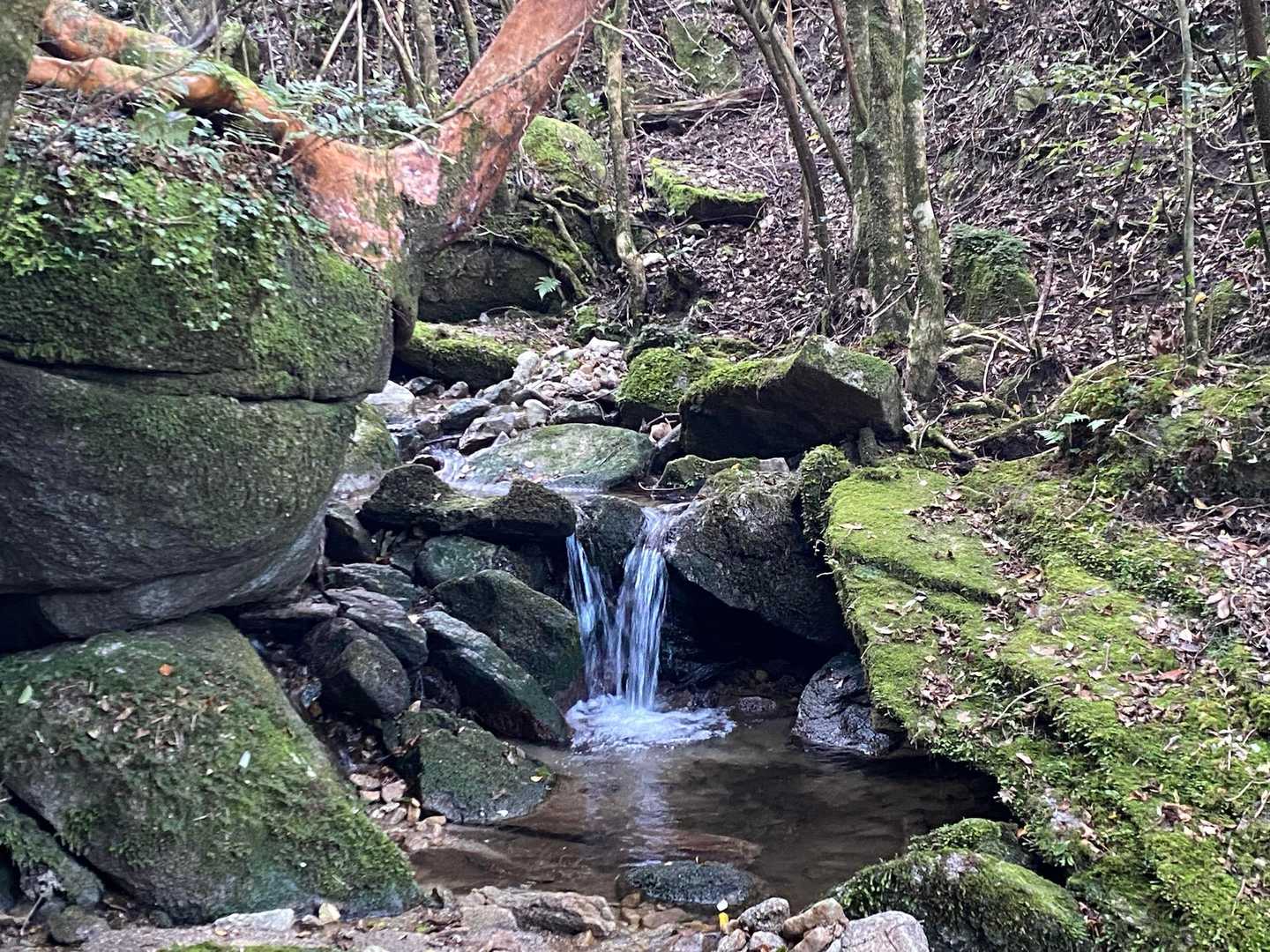 水の音が心地よい