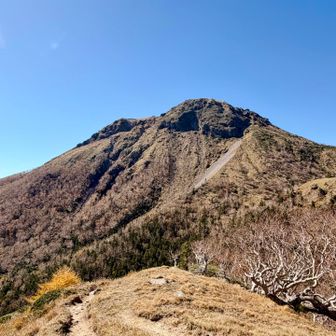 振り返ると白根山