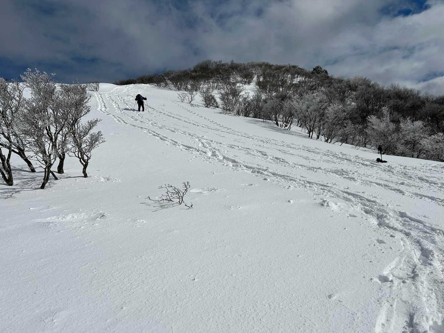 倉見登山口-三十三間山 往復コースの写真