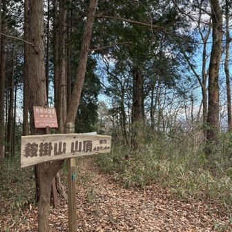 シドキ山超えて鞍掛山まで