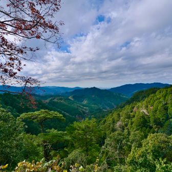 景色は素晴らしい。