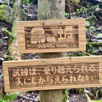 最後の最後に急登現る…試練らしい