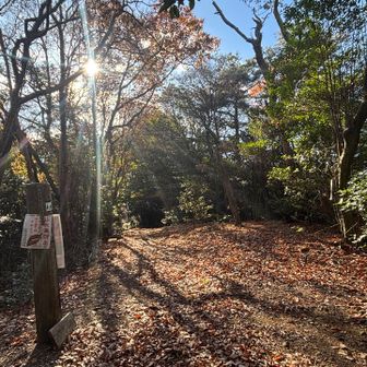 牛尾山かな　山頂票なし　頂感なし　展望なし
（もしかしたら山頂はこの先だったのかも）