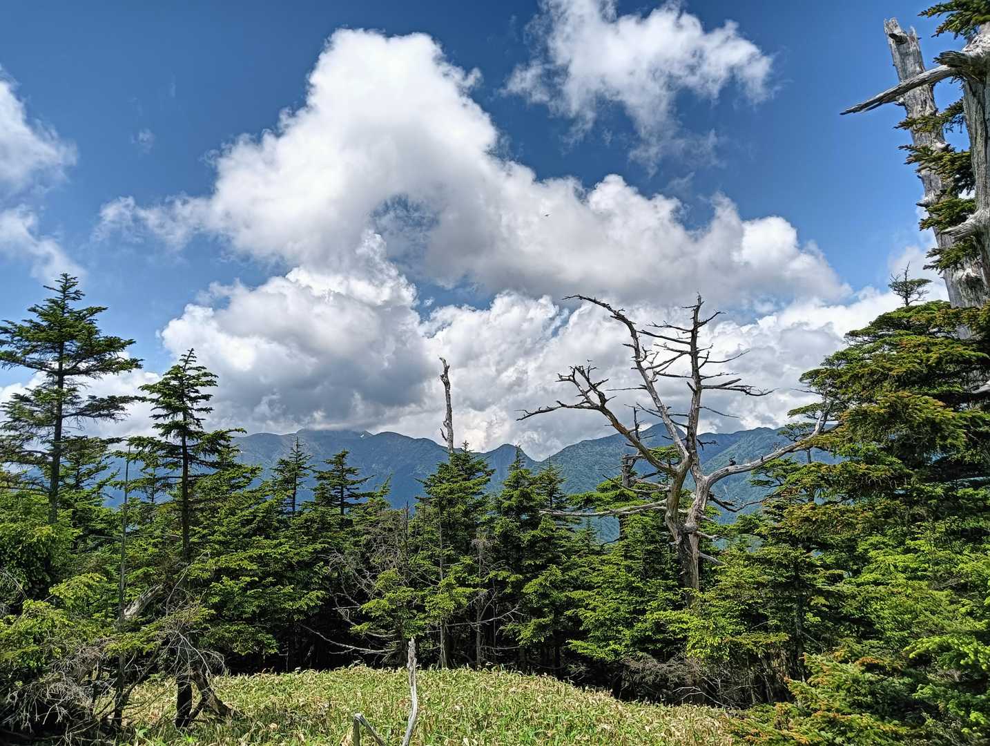 宇都宮は完全に曇りだったけど、日光の天気は晴れ。
でも白根山は見えなかった。