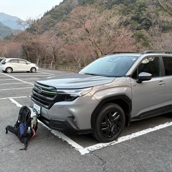 宇賀渓の駐車場🅿️（500円/日）に車を停めてスタート。
６時前について５〜6台停まってました。