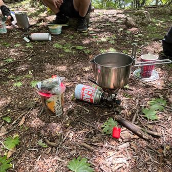 すこし戻って分岐でランチ、山頂より虫はいないがやっぱり気になる
