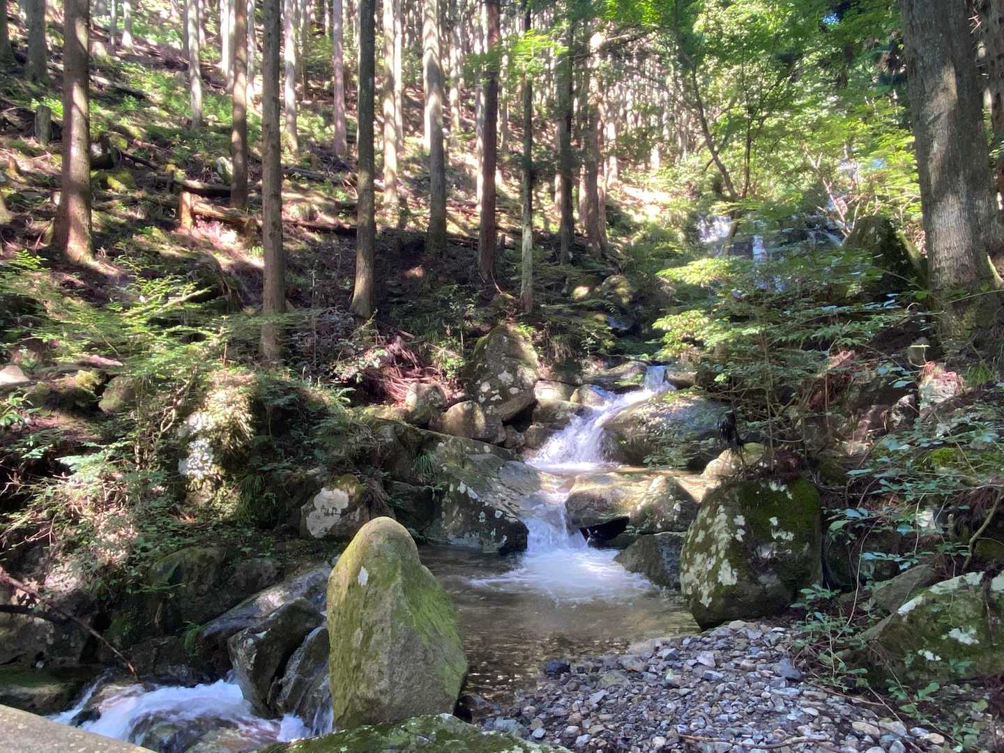 三谷登山口-千ヶ峰 往復コースの写真