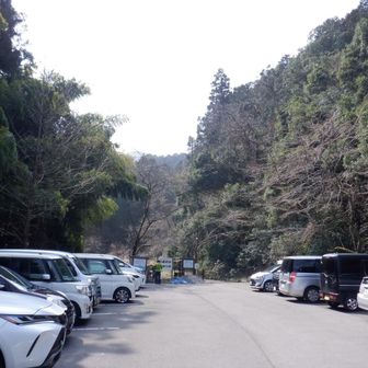 第一駐車場は満車🚗