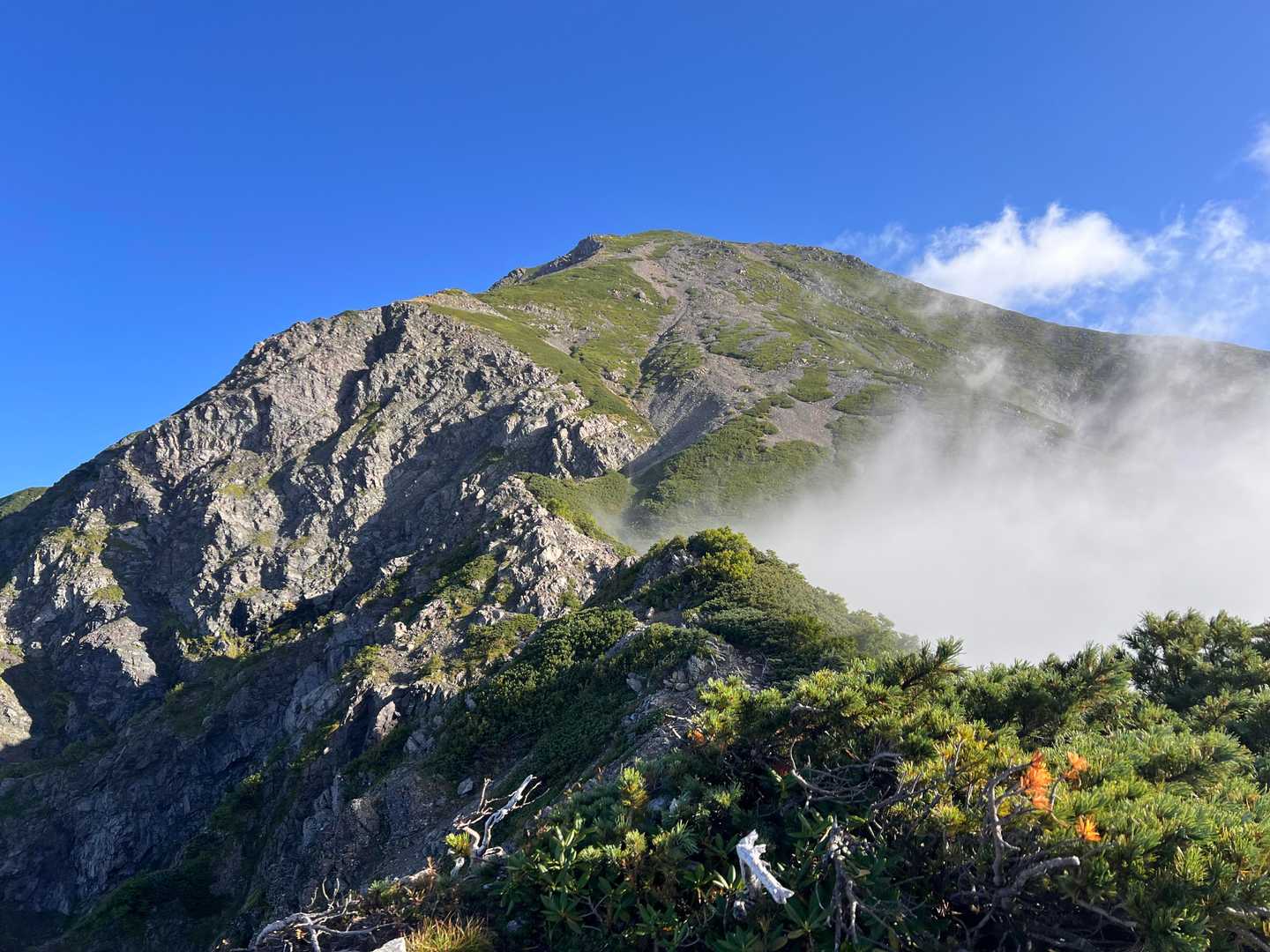 聖岳往復 | 急峻な見た目ながら、手軽に高山植物と360度の大パノラマを楽しめるの写真