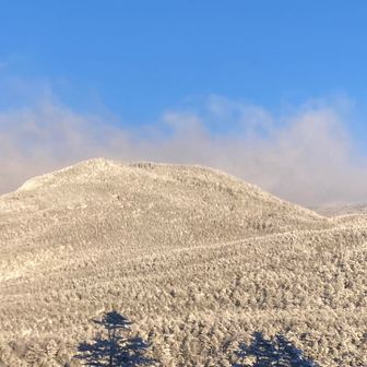 日が当たってきた
茶臼山