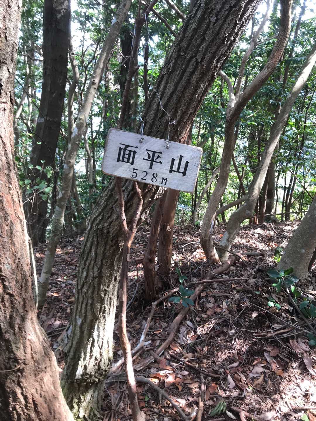 面平山の山頂に到着。