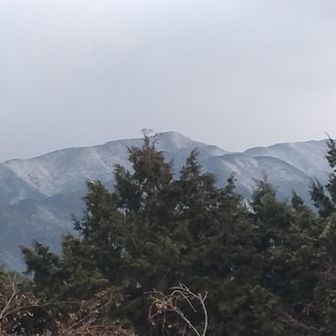 馬見山方面
雪化粧してますね～
