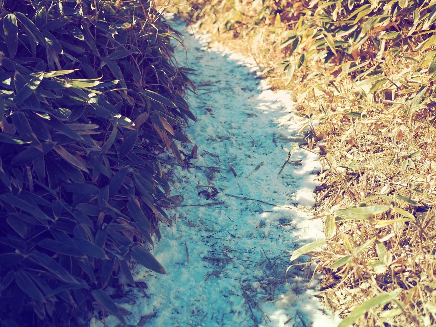 少しだけ雪