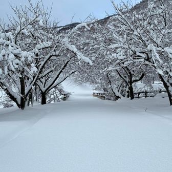 調子ヶ滝まで行って、そこから、行ってみることに