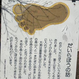 琵琶湖?  スケールデカい！
と、思ったら舟山？

ん？この前行った安倍川の中の舟山？