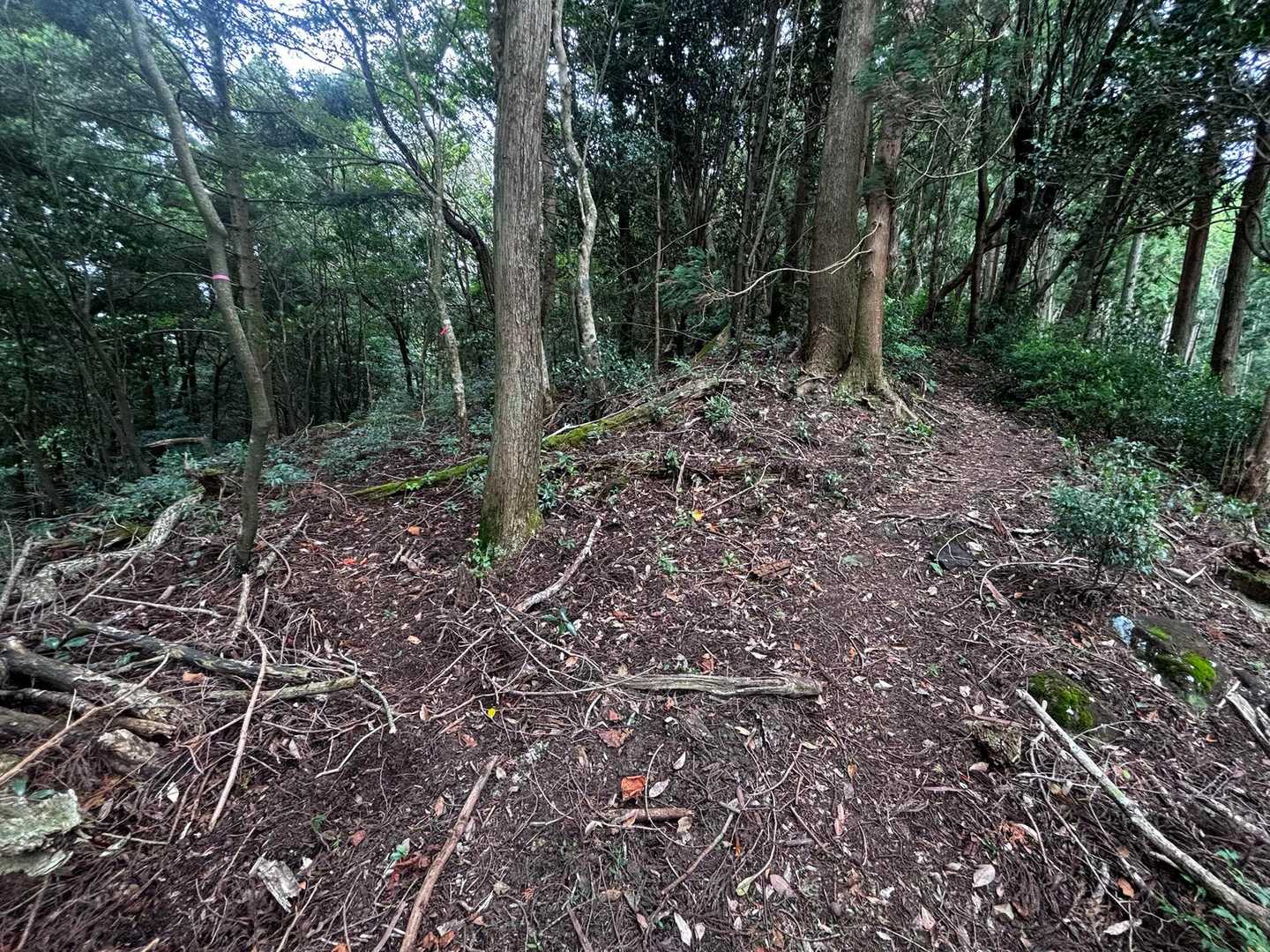 右が烏帽子岳へ
左が林道へ