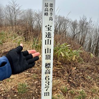 山頂 標高637m🙌