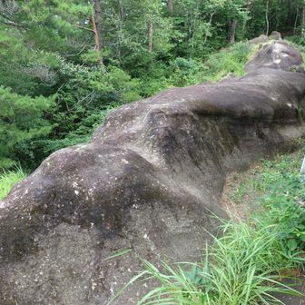 道中は危険がいっぱい。
馬の鞍は雨上がりで滑ります。