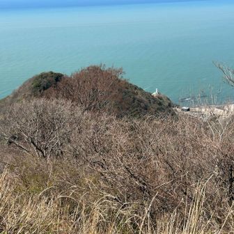 灯台が見えた。