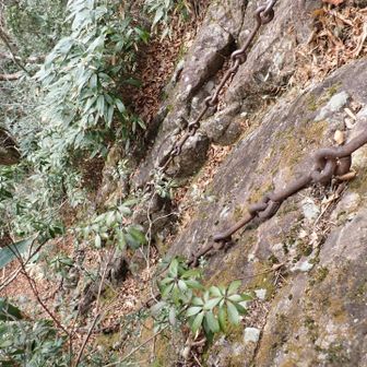 太い鎖の途中に出てきました。
山頂からの鎖？
一旦、伝って降ります。
