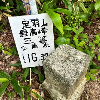 登頂してきました