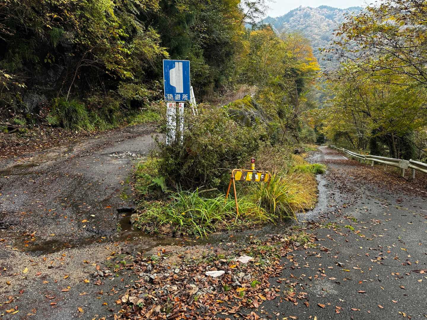 登りは下の道から行き、下りは上の道から戻って来ました😀
