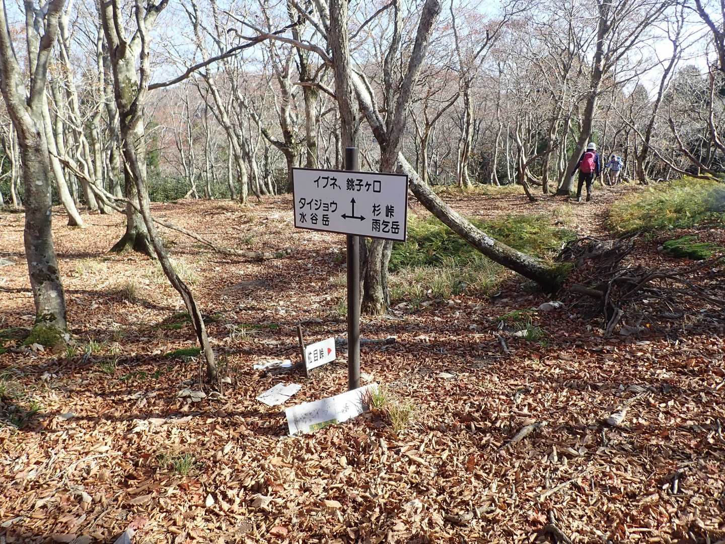 朝明登山口-根の平峠-杉峠-雨乞岳 往復コースの写真