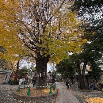 鳩森神社へ到着