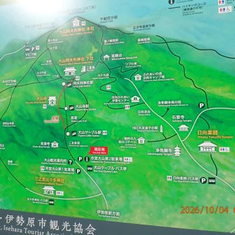 大山ケーブルバス停から登ります