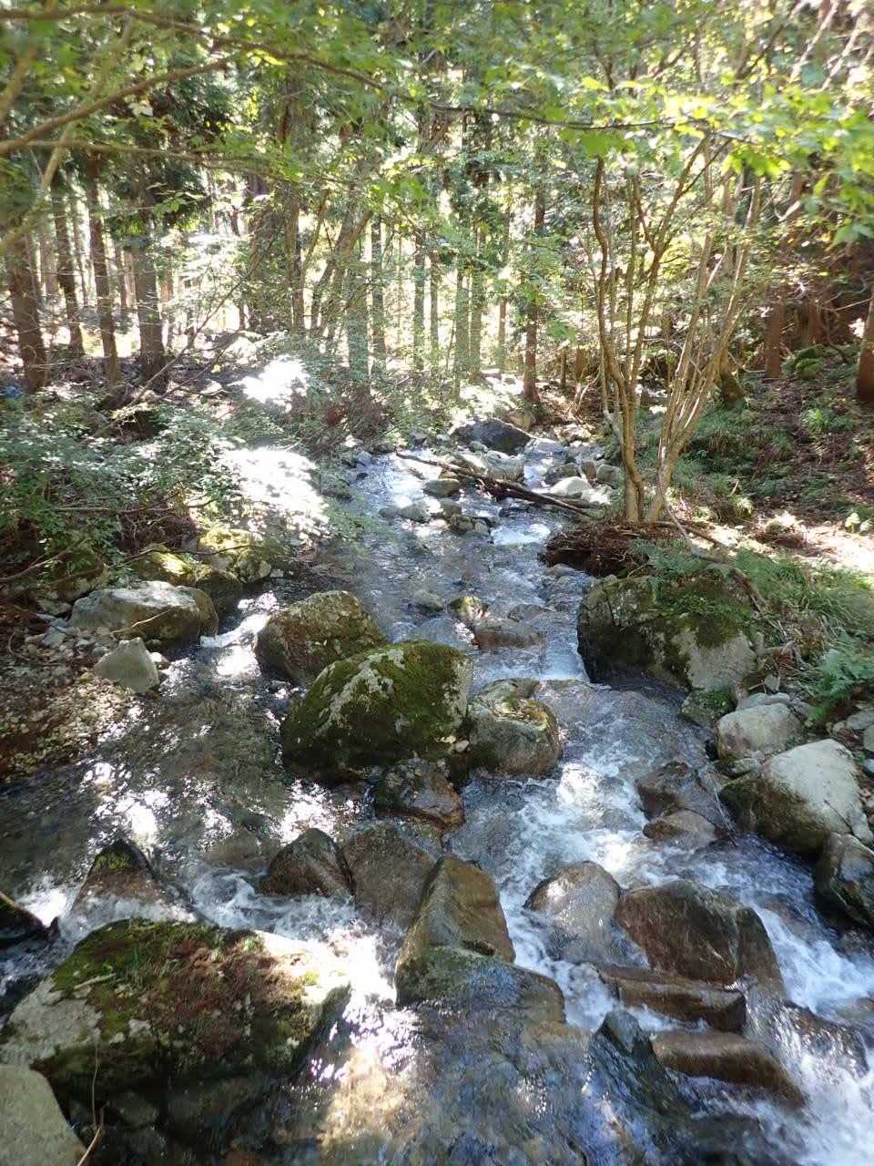 下山道からアスファルト道に出て　橋の上から見下ろす