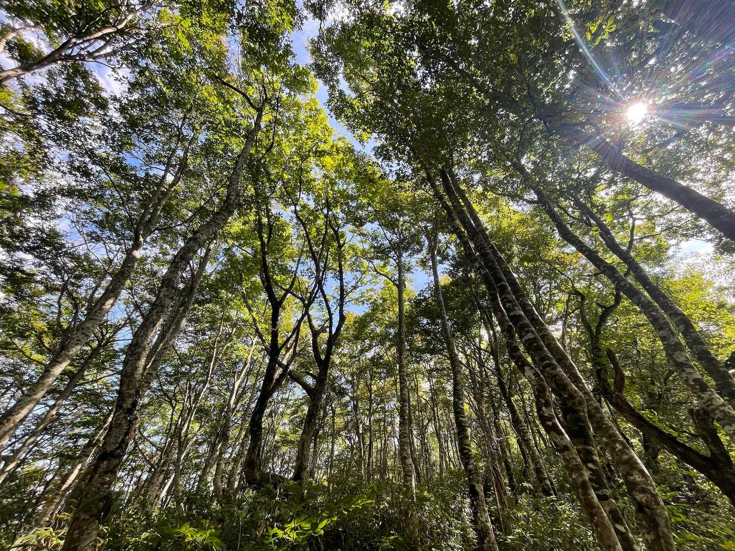 晴れてきた☀️