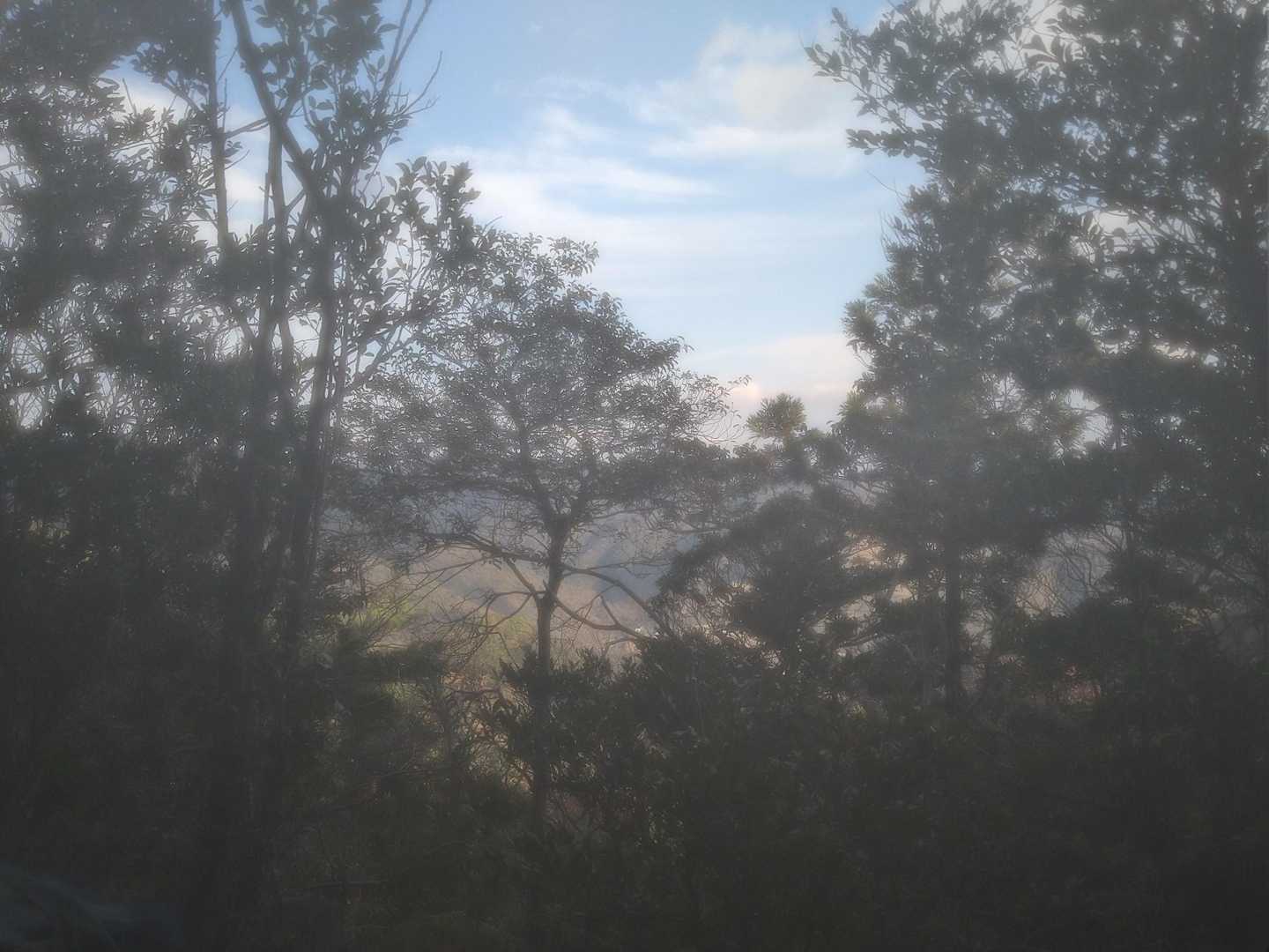 大麻山登山口-大麻山 往復コースの写真