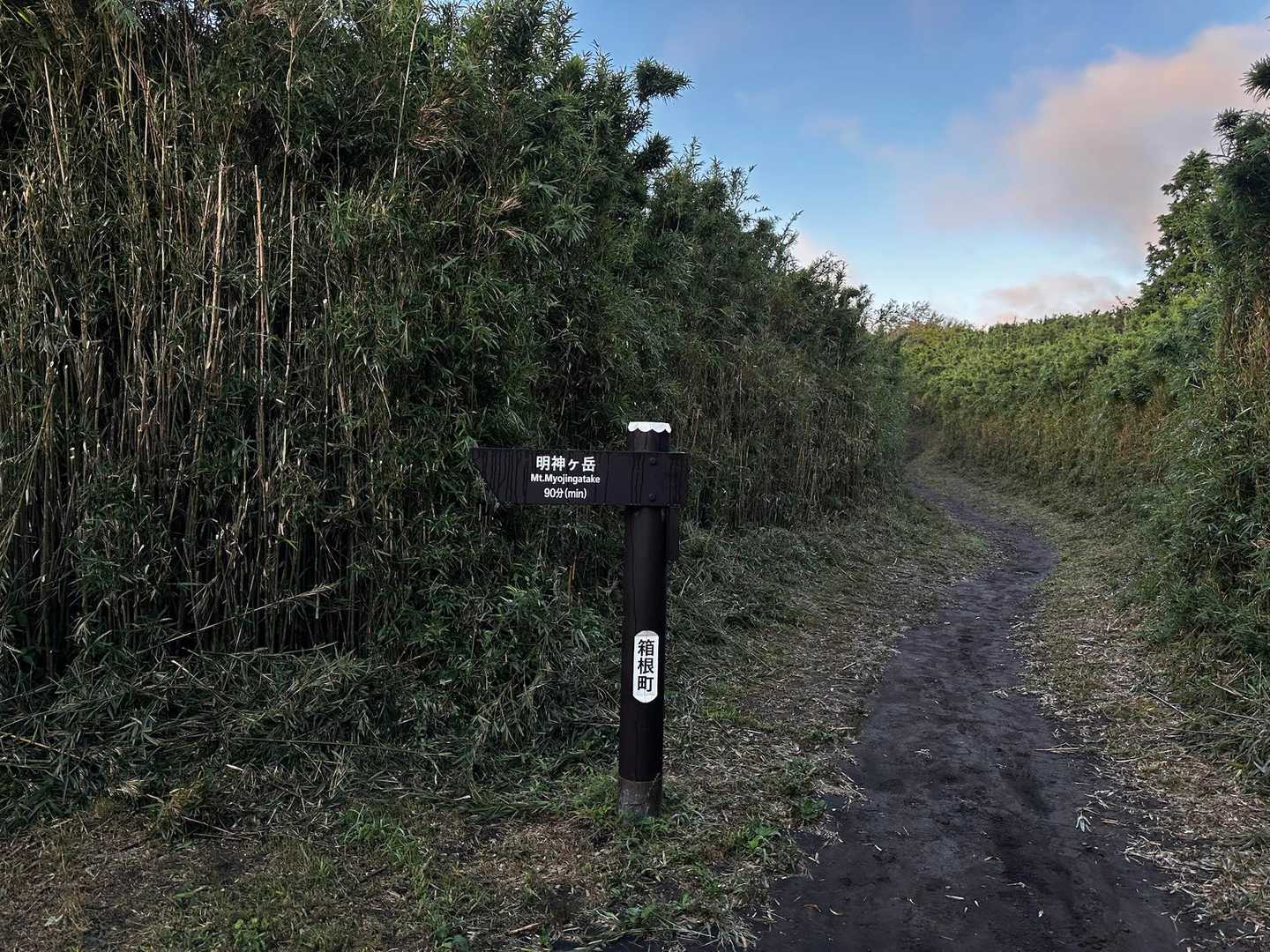 今日は明神ヶ岳なので、
この分岐を左へ🫲
明神ヶ岳まで90分？
と、無謀なご案内