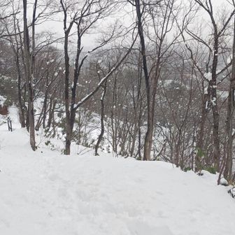 吹雪いて来たので、下山しますよ
