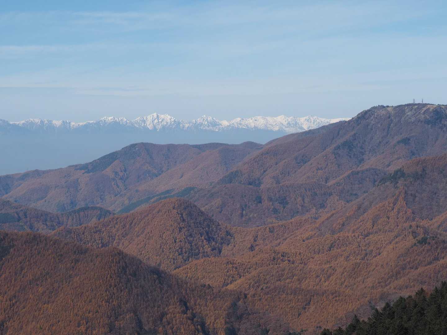 やっぱ山は癒されるわー