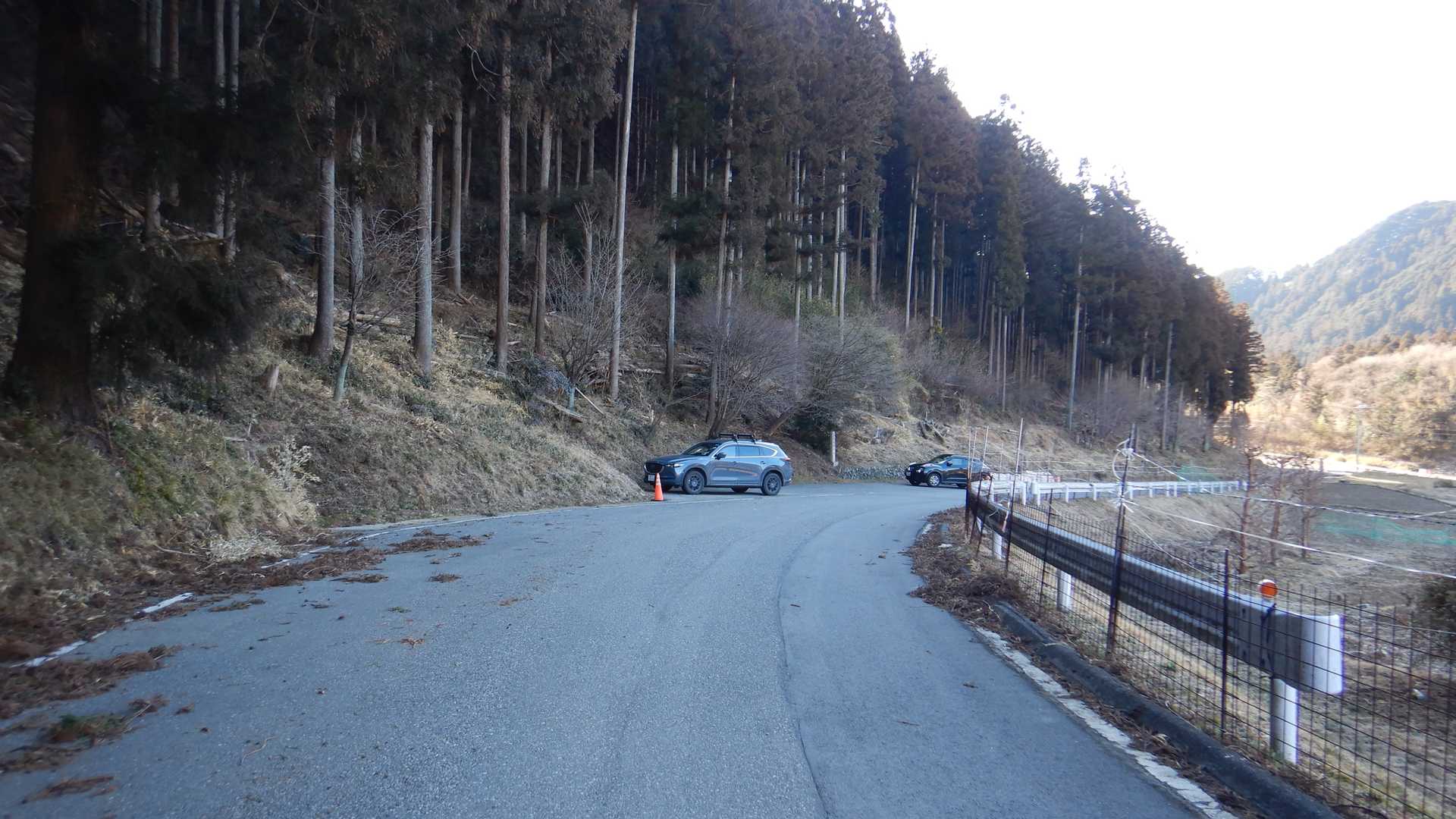 5～6台停められそうな路肩のようですが、長安寺の🅿と書いてありました。