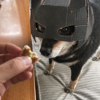 たつや