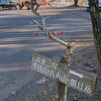 ゴーーール！！
今回も見どころの多い楽しい山行になりました。