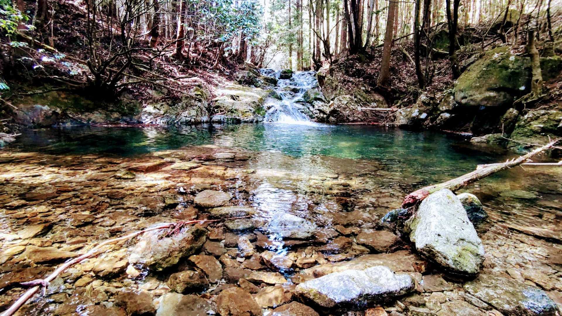 奥山-七種槍-七種山 周回コースの写真