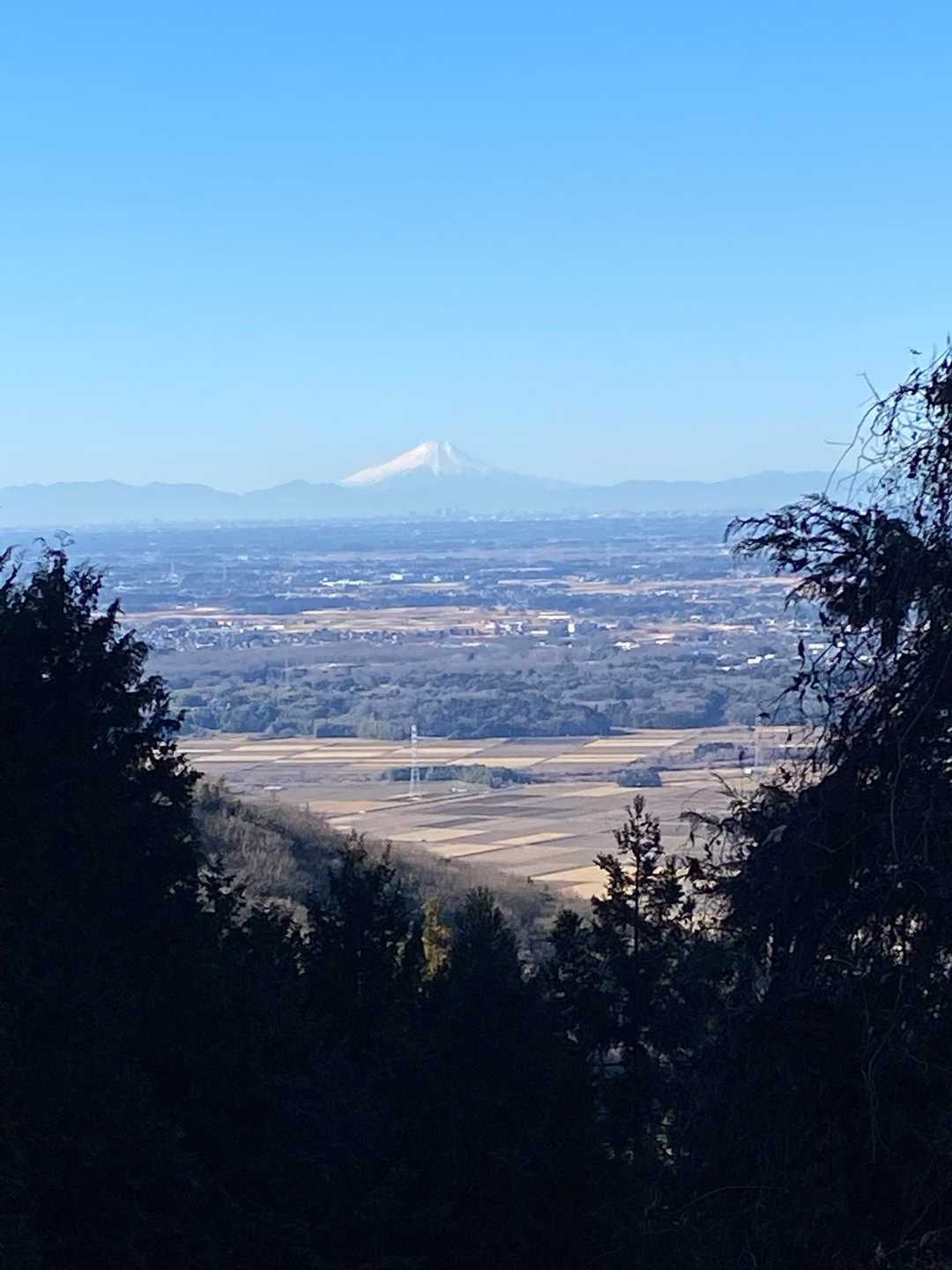 富士山見えました