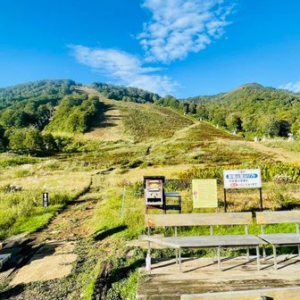 駐車場から15分歩いて、登山道スタート
ゲレンデ直登ではなく、右の樹林帯を歩く