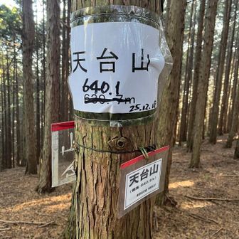 天台山。
眺望はほぼゼロ。